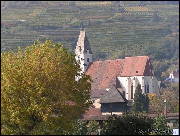 WienWachau022.jpg