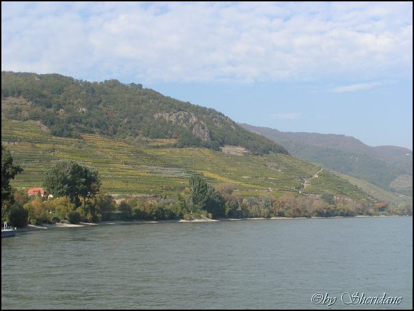 WienWachau024.jpg
