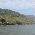 WienWachau024.jpg